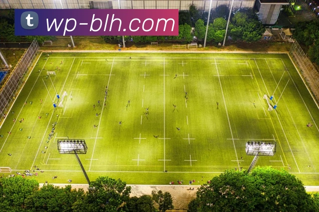 4001老百汇官网APP 封面图