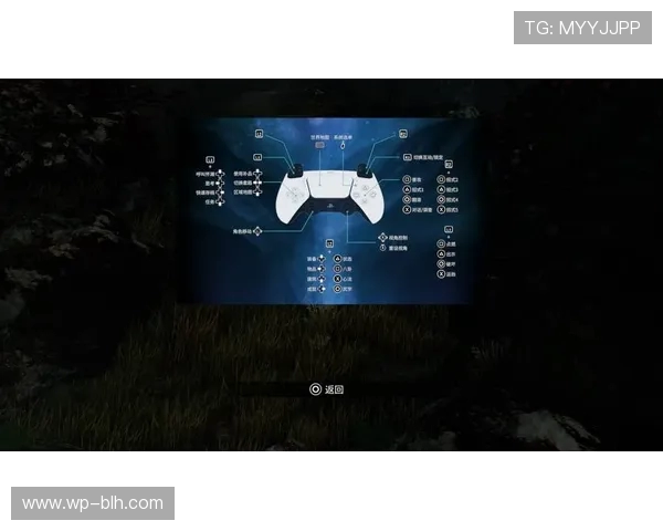 如何选择最适合你的PS5版本全面解析不同型号特点和优势